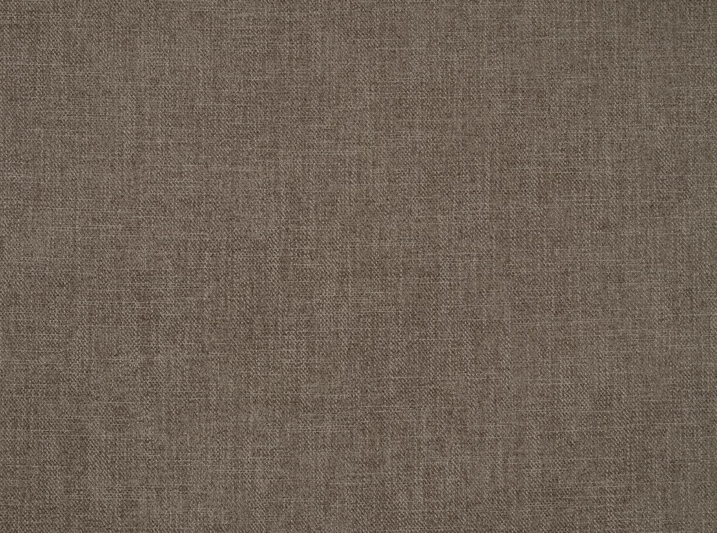 Kangas Story 36 Fossil 25 Kangas Story 36 Fossil 25