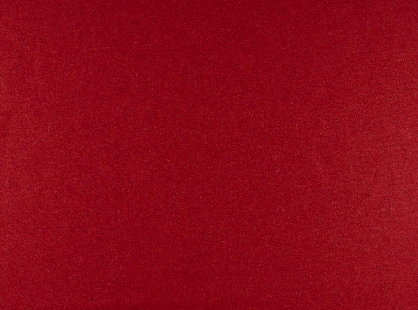 Kangas Wooly 2011 Tulip Kangas Wooly 2011 Tulip