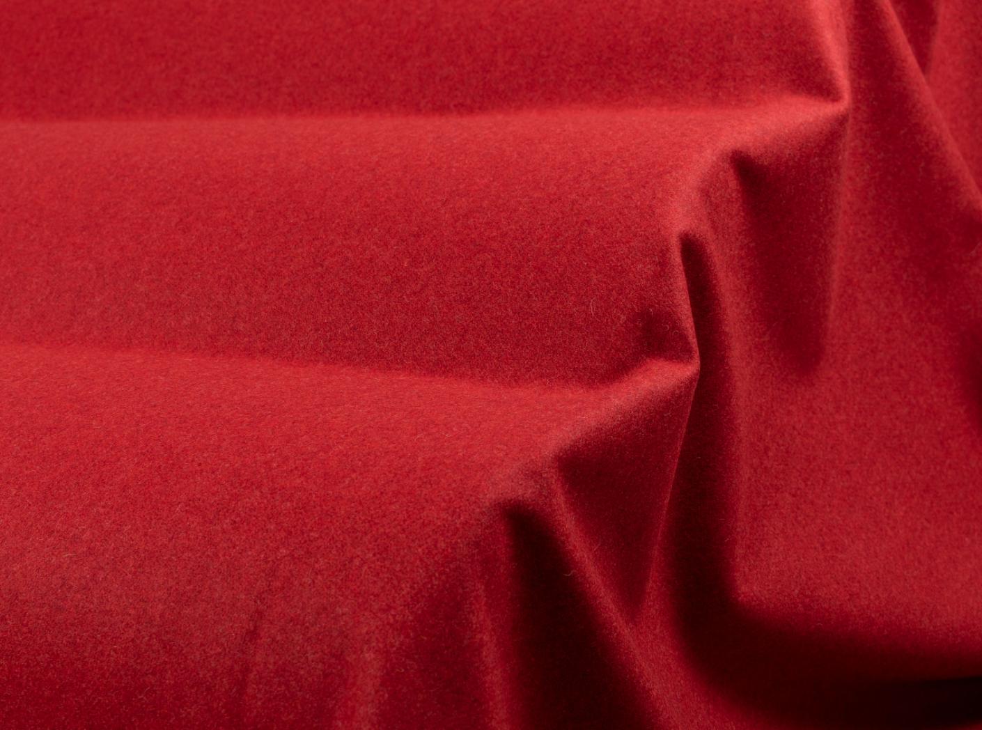 Kangas Wooly 2011 Tulip Kangas Wooly 2011 Tulip