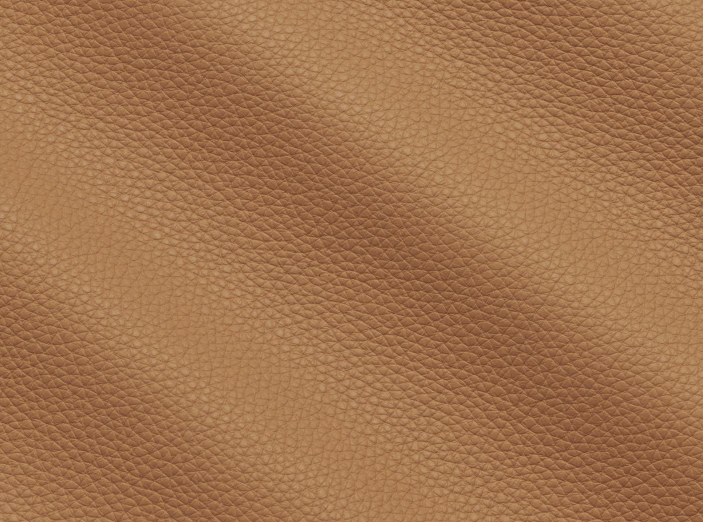 Verhoilunahka Prescott EU 221 Lion Verhoilunahka Prescott EU 221 Lion