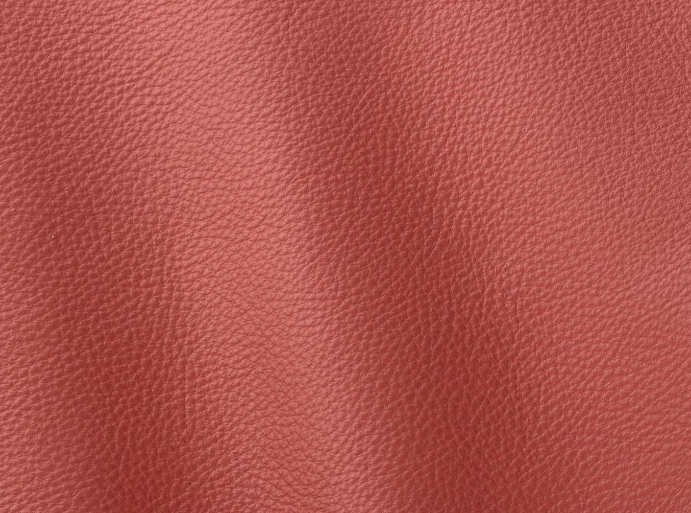 Verhoilunahka Prescott EU 239 Fond-de-tein Verhoilunahka Prescott EU 239 Fond-de-tein