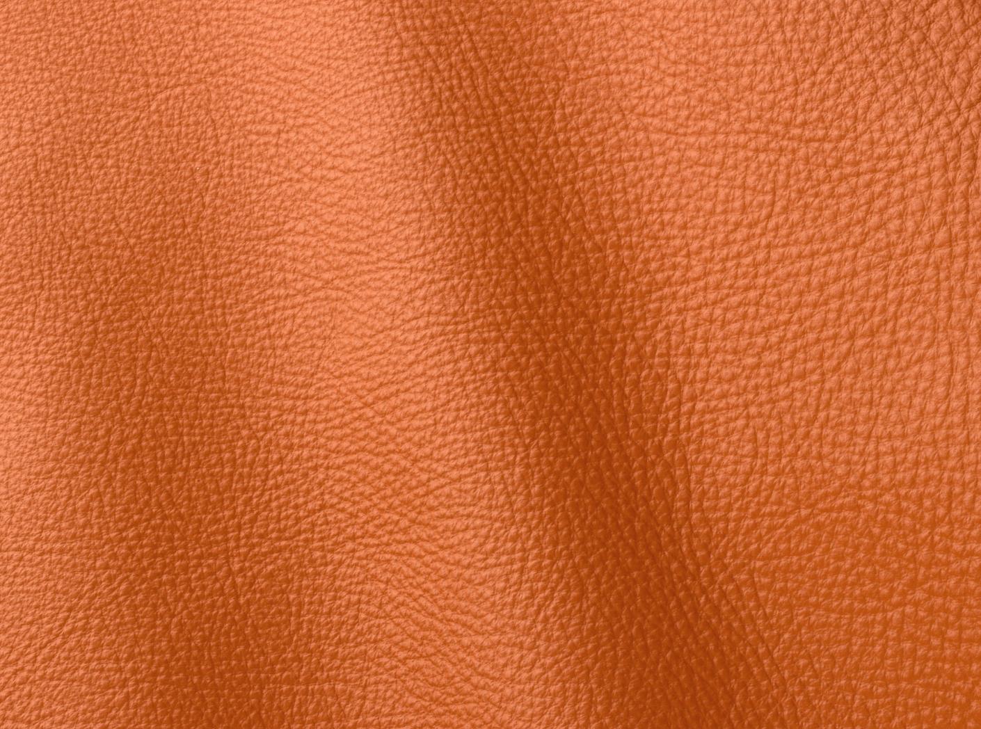 Verhoilunahka Prescott 246 Claw Verhoilunahka Prescott 246 Claw