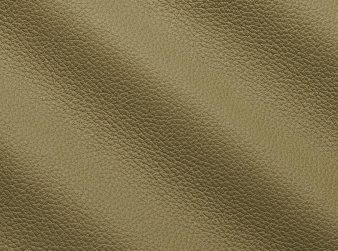 Verhoilunahka Prescott 255 Terragon Verhoilunahka Prescott 255 Terragon