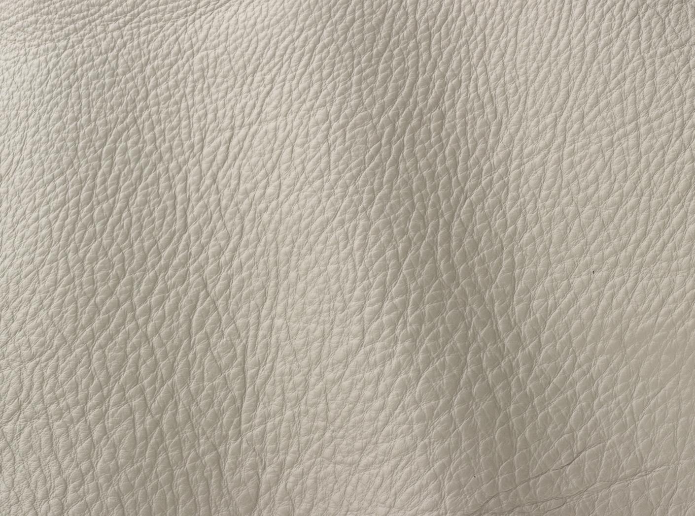 Verhoilunahka Prescott EU 209 Turtledove Verhoilunahka Prescott EU 209 Turtledove