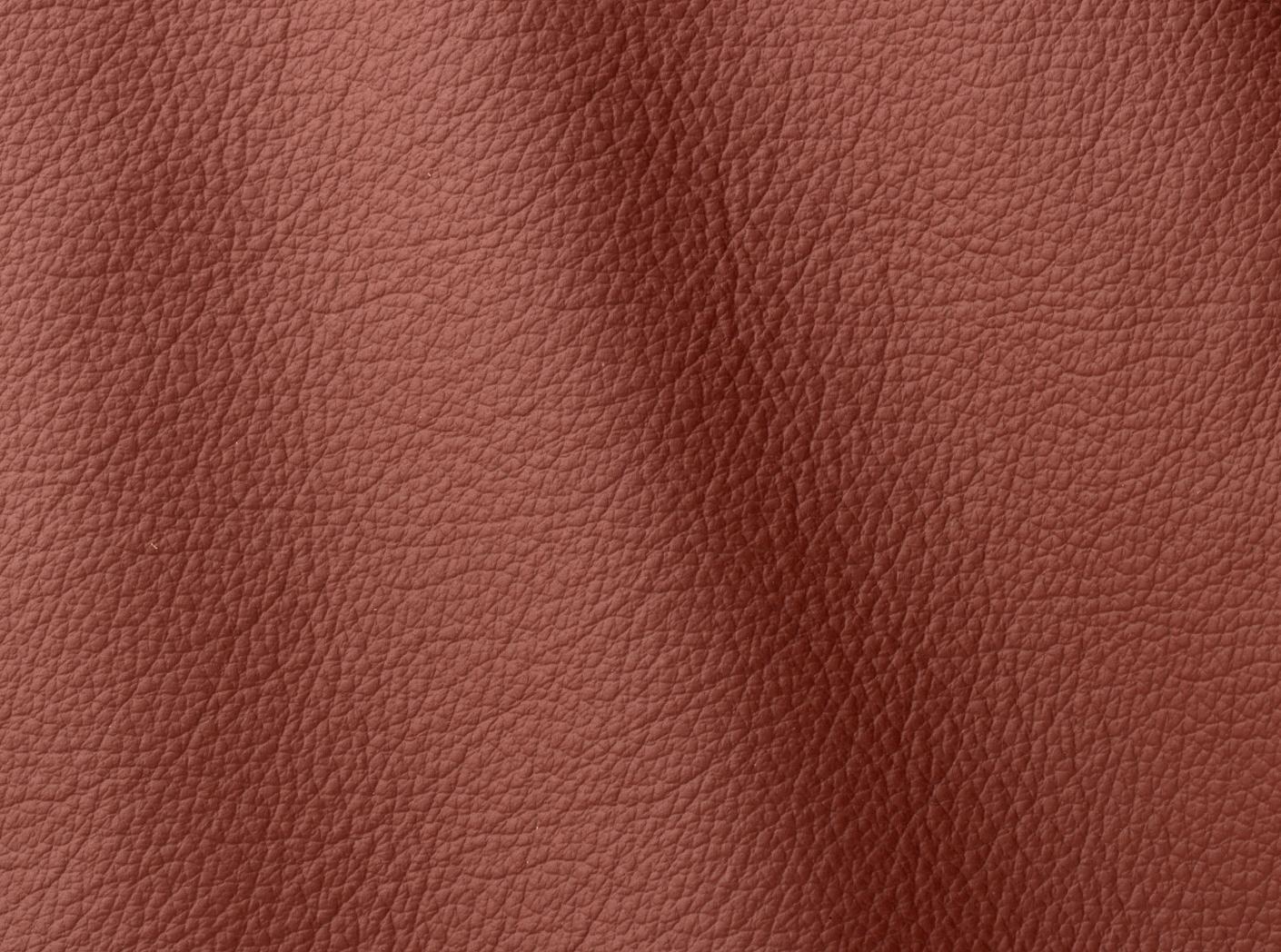 Verhoilunahka Ocean 435 Allium Verhoilunahka Ocean 435 Allium