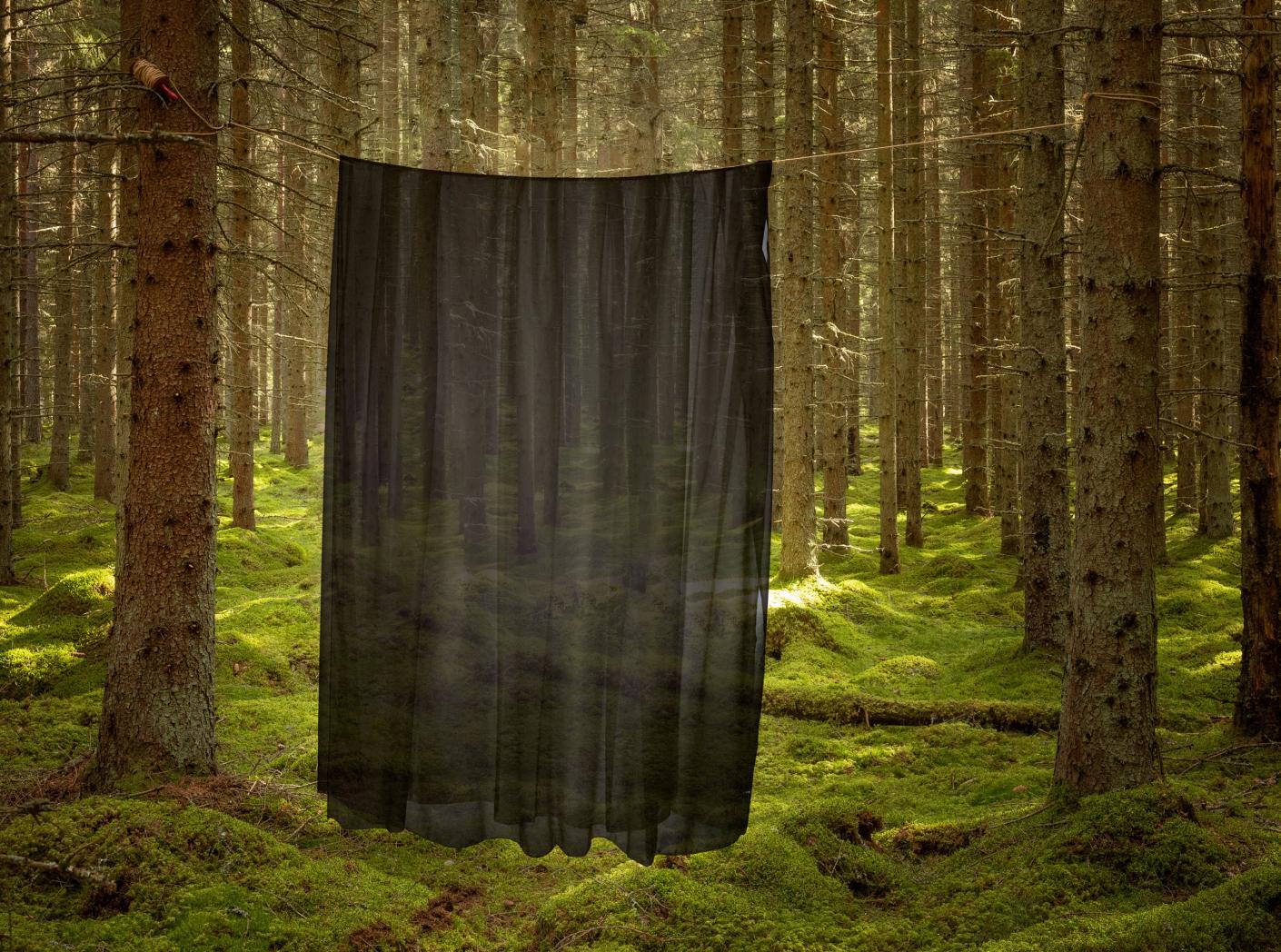 Gardin Modena FR 199 Black 300 cm Gardin Modena FR 199 Black 300 cm