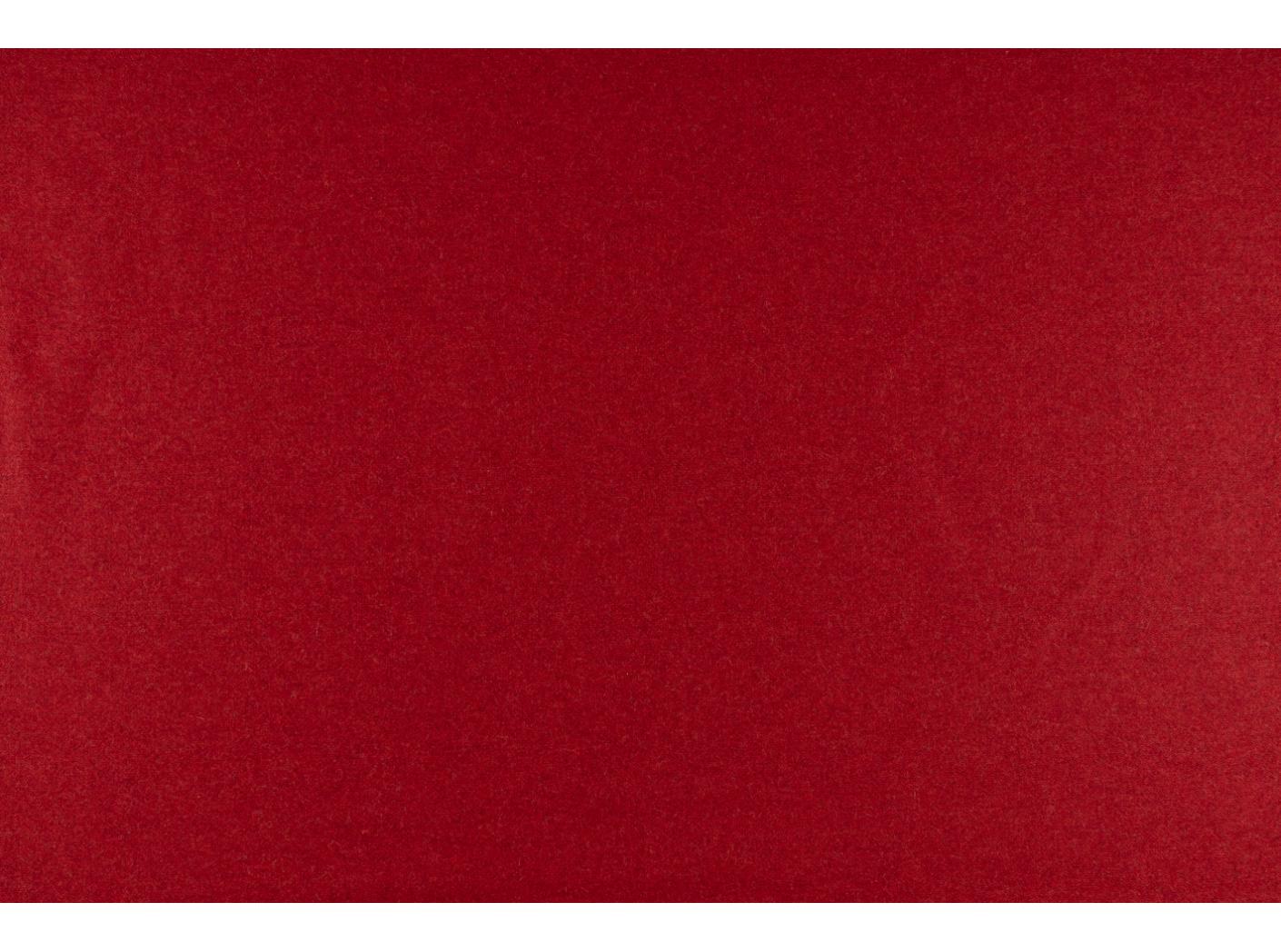 Kangas Wooly 2011 Tulip Kangas Wooly 2011 Tulip