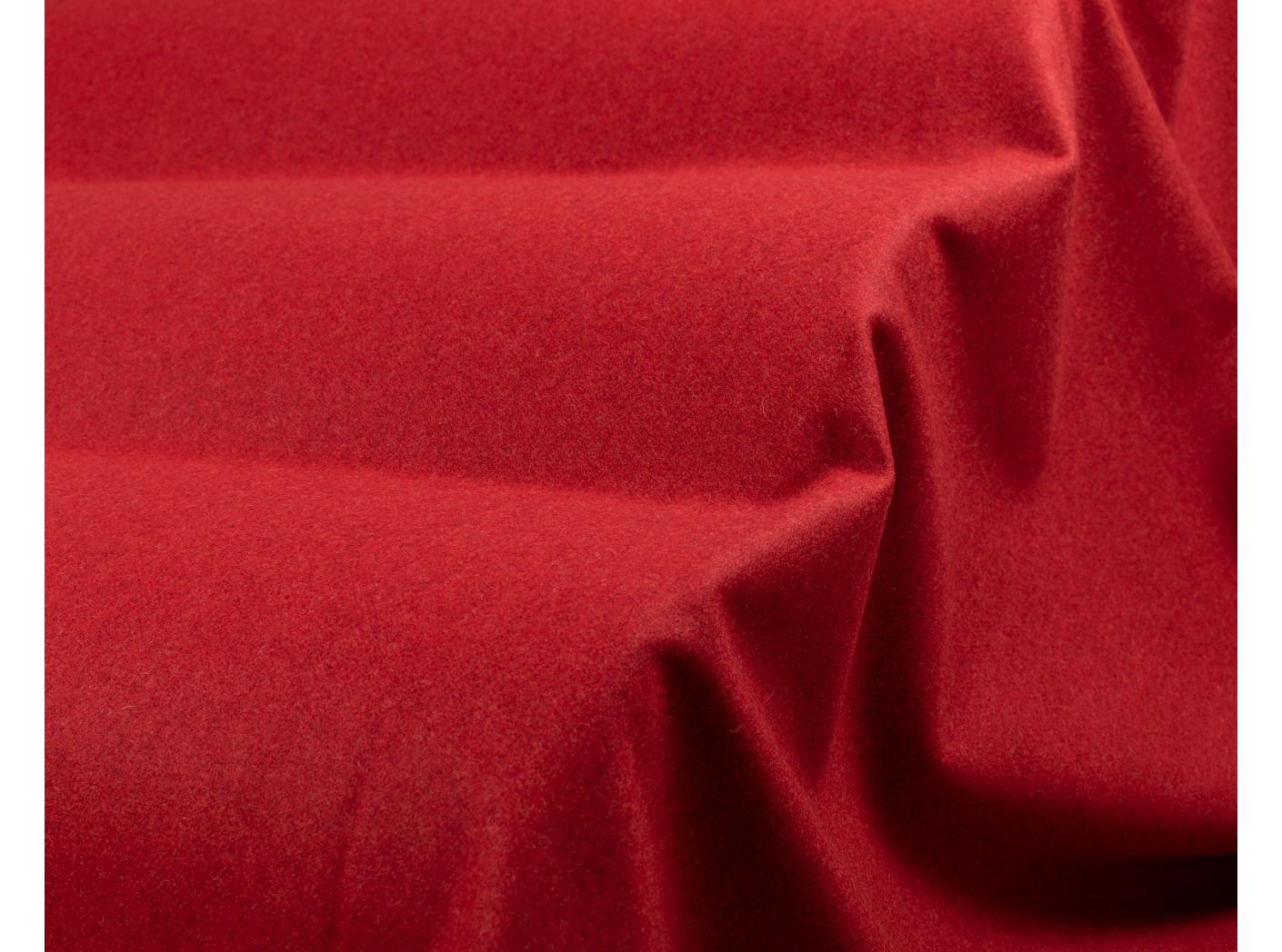 Kangas Wooly 2011 Tulip Kangas Wooly 2011 Tulip