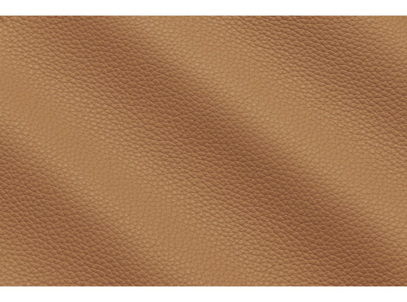 Verhoilunahka Prescott EU 221 Lion Verhoilunahka Prescott EU 221 Lion