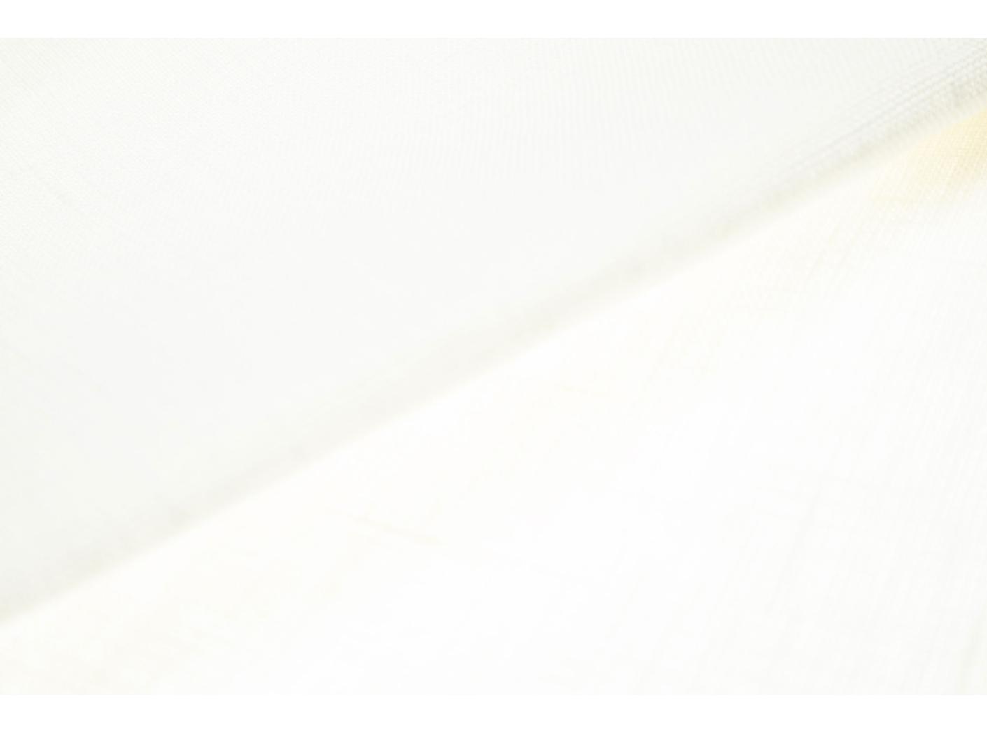 Pellavakangas 150cm 245g valkoinen** poistuu Pellavakangas 150cm 245g valkoinen** poistuu