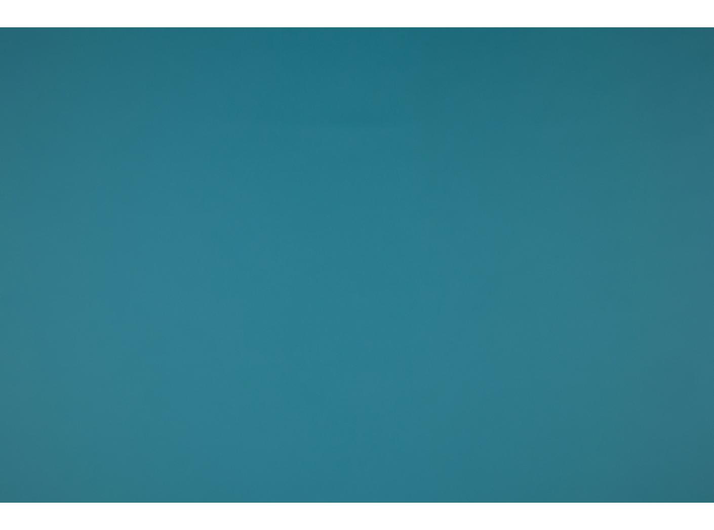 Illusion 65066 Bird Illusion 65066 Bird