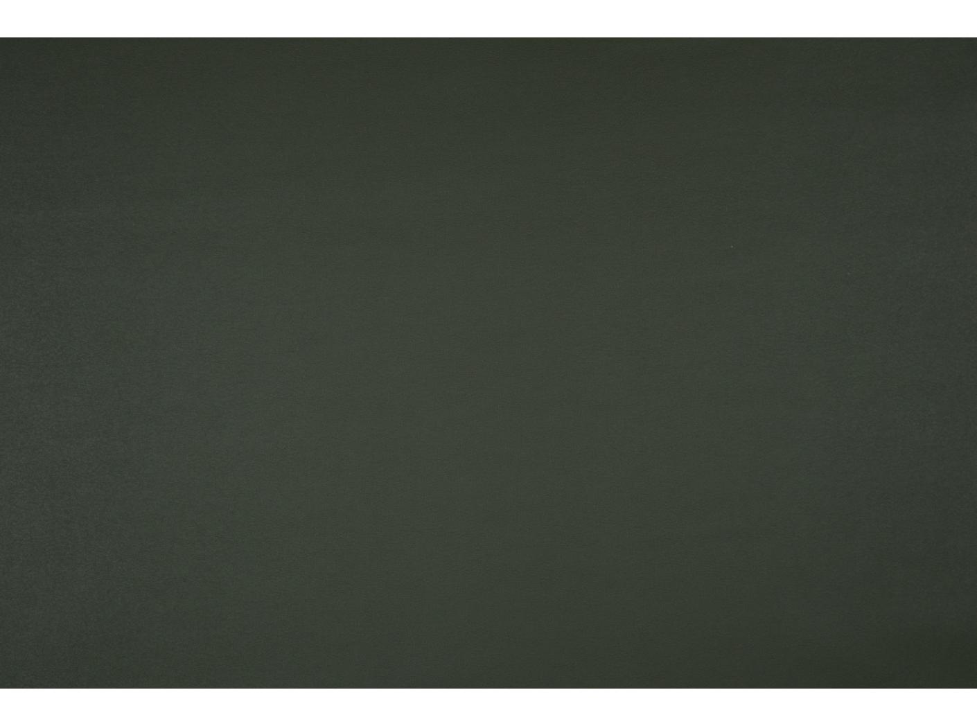 Pallas 021606 Taiga Pallas 021606 Taiga