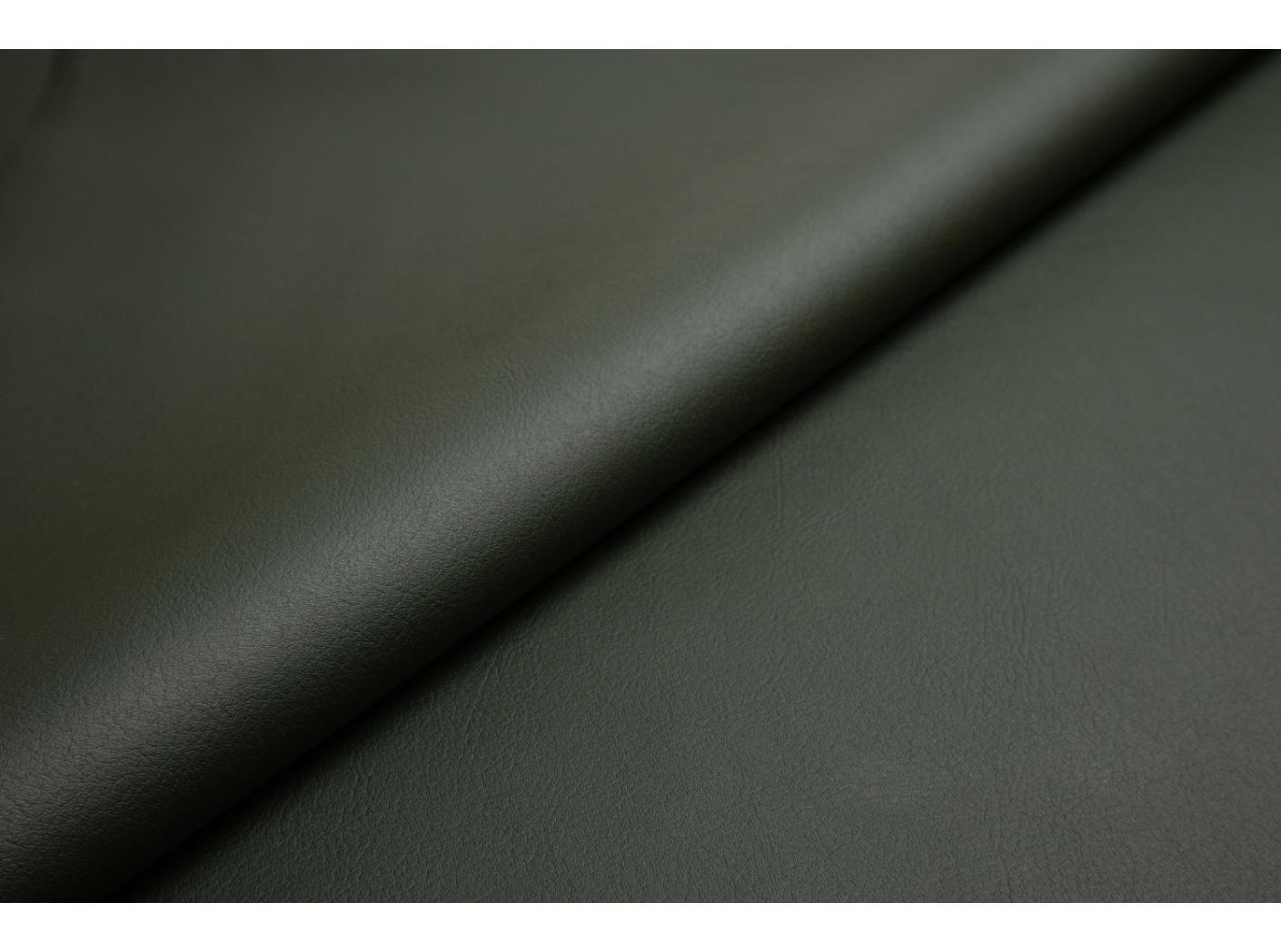 Pallas 021606 Taiga Pallas 021606 Taiga