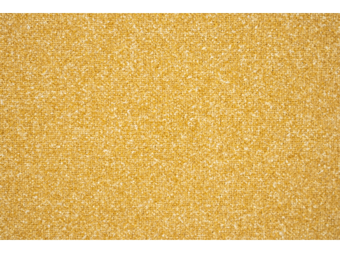 Kangas Coco 3005 Corn Kangas Coco 3005 Corn