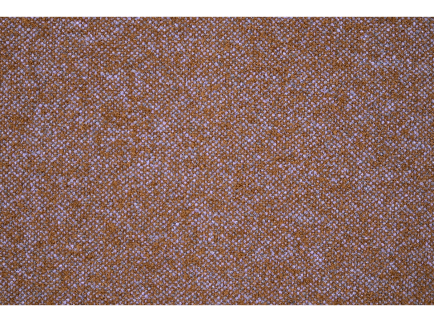 Kangas Coco 9521 Brown purple Kangas Coco 9521 Brown purple
