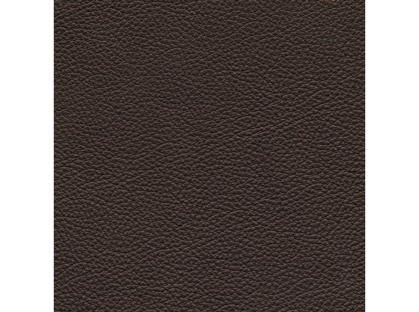 Verhoilunahka Lambada K Brown 02294 Verhoilunahka Lambada K Brown 02294