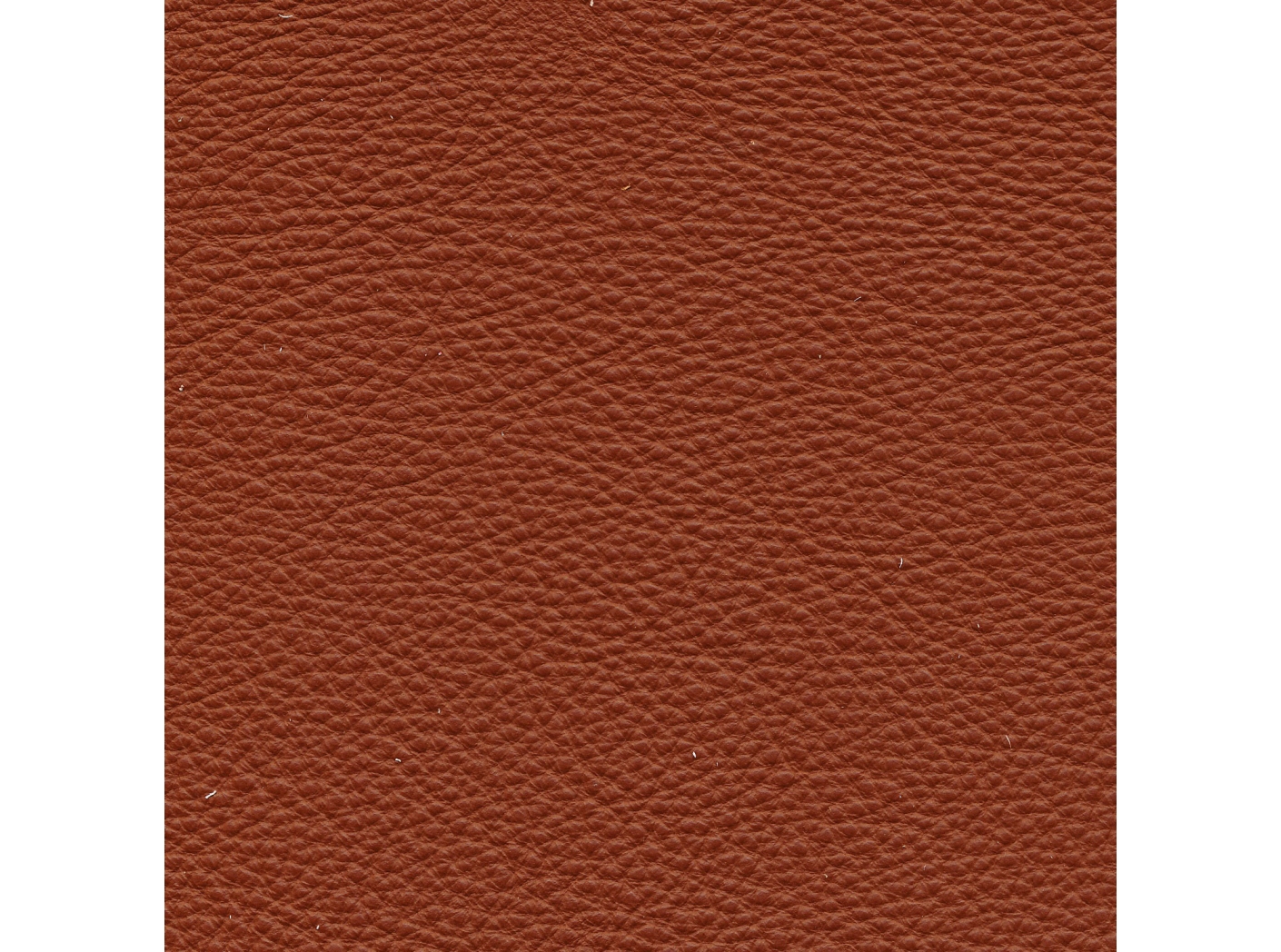 Verhoilunahka Prescott EU 289 Hezelnut Verhoilunahka Prescott EU 289 Hezelnut