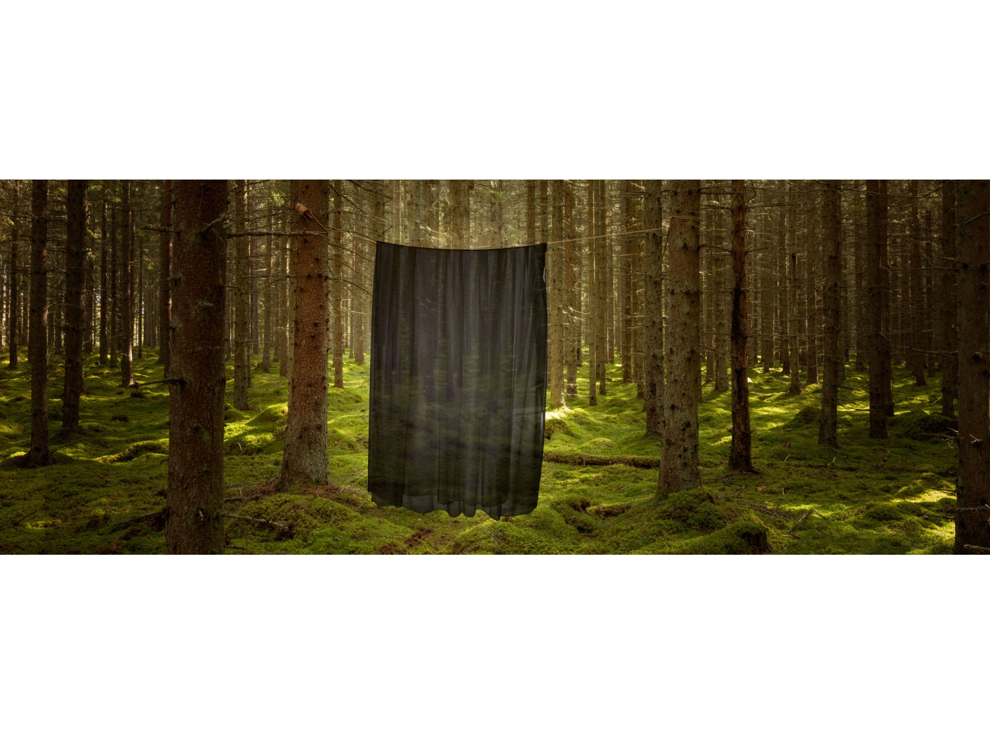 Gardin Modena FR 199 Black 300 cm Gardin Modena FR 199 Black 300 cm