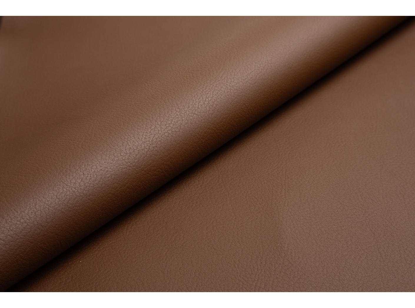 Pallas 021603 Brandy Pallas 021603 Brandy
