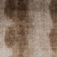 Kangas Barok Stripe 501 Marrone Chiaro