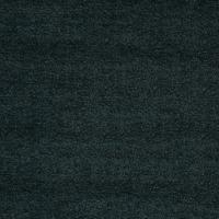 Kangas Energy 4011 Petrol