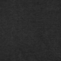 Kangas Regent 0112 Steel