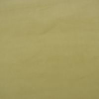 Kangas Ritz 6057, pistage *