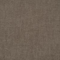 Kangas Story 36 Fossil 25