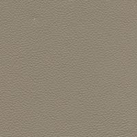 Verhoilunahka Lambada Fungi 9717LOPPU