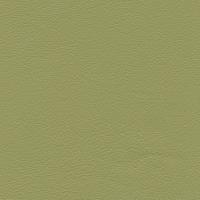 Verhoilunahka Linea 631 Green