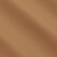 Verhoilunahka Prescott EU 221 Lion