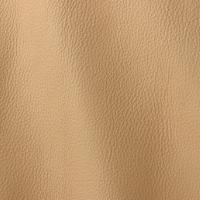 Verhoilunahka Prescott 296 Light