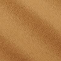 Verhoilunahka Prescott 251 Carioca