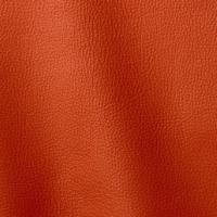 Verhoilunahka Prescott 245 Redorange