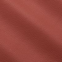 Verhoilunahka Prescott 240 Begonia