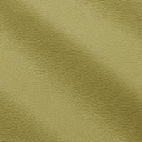 Verhoilunahka Prescott 294 Lime