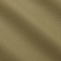 Verhoilunahka Prescott 255 Terragon