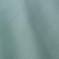 Verhoilunahka Prescott 265 Lichene