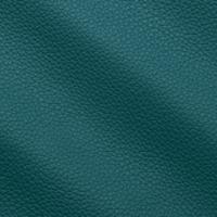 Verhoilunahka Prescott 270 Pacific