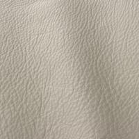 Verhoilunahka Prescott EU 209 Turtledove