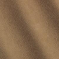 Verhoilunahka Kairos 1715 Elefant