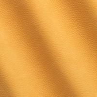 Verhoilunahka Kairos 1707 Duck Bill