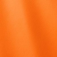 Verhoilunahka Ocean 442 Calypso