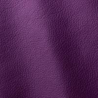 Verhoilunahka Ocean 451 Purple