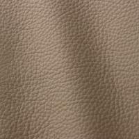 Verhoilunahka Atlantic 509 Tortora