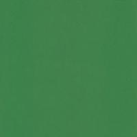 DELINOVA 75 150 cm 6217 Grön , Minimi toim. 100m