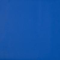 Puria 023606 Blue