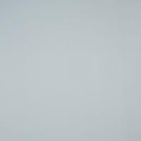 Pallas 021609 Granite