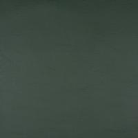 Apollo 861, Dark green