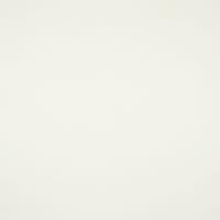 Apollo 873, White dove